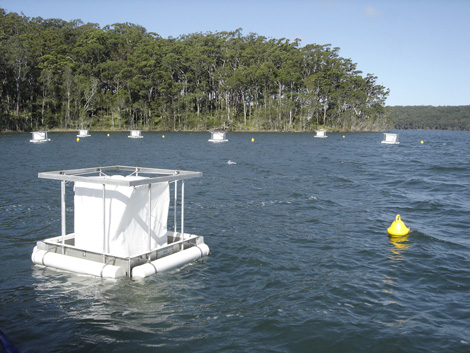 Mesocosms at Smiths Lake