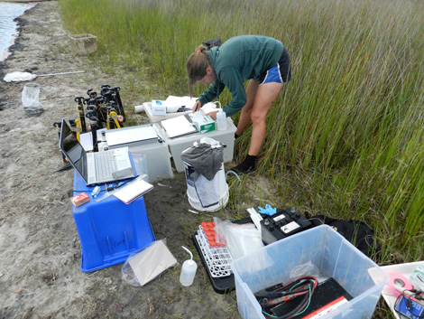 a scientist and her field equipment on-shore