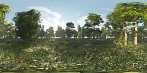 Sophie Anderson, 360 Forest, 2020