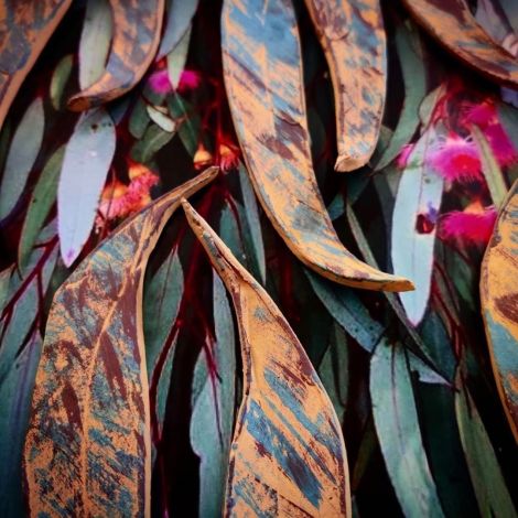 Paula de la Rua Cordoba