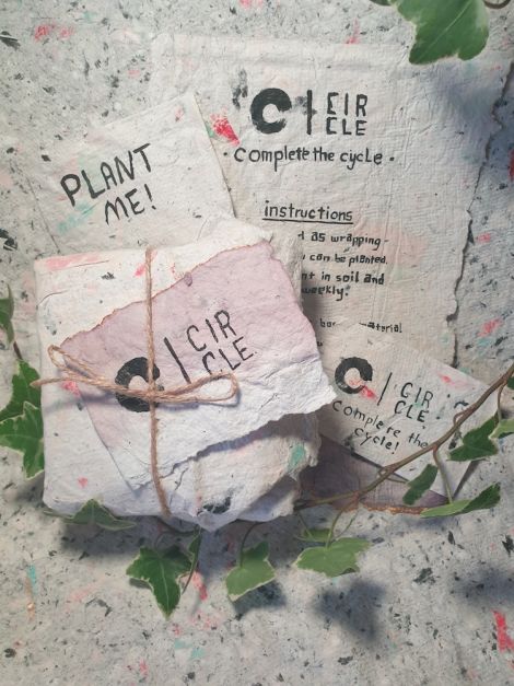 Hayley Wakefield, Circle's Branding and Product Demonstration, 2020