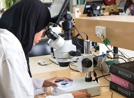 Student wearing a headscarf looking through a microscope