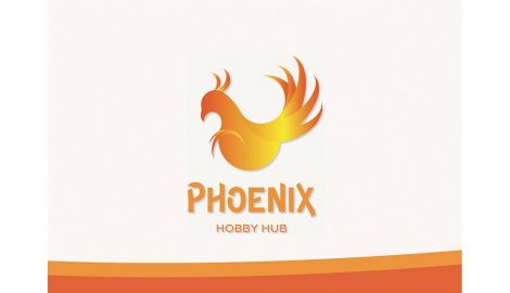 Anna Draper, App Brand Style Guide - Phoenix Hobby Hub, 2021