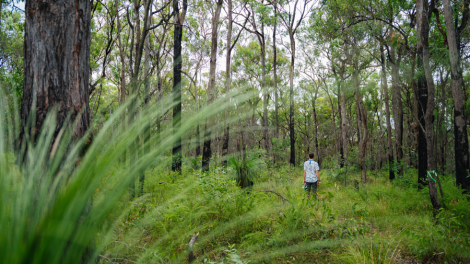 Interactive Landscape and Ecosystem Connectivity Map 