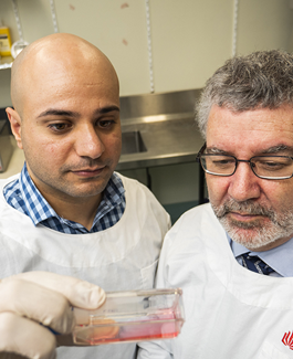 Two researchers checking a test tube