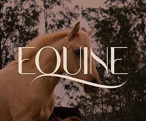 Equine | Typeface Design
