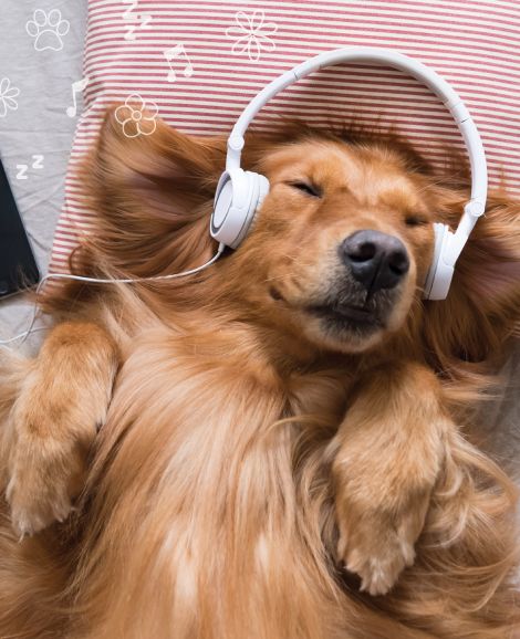 Recharge Week Sleep Playlist
