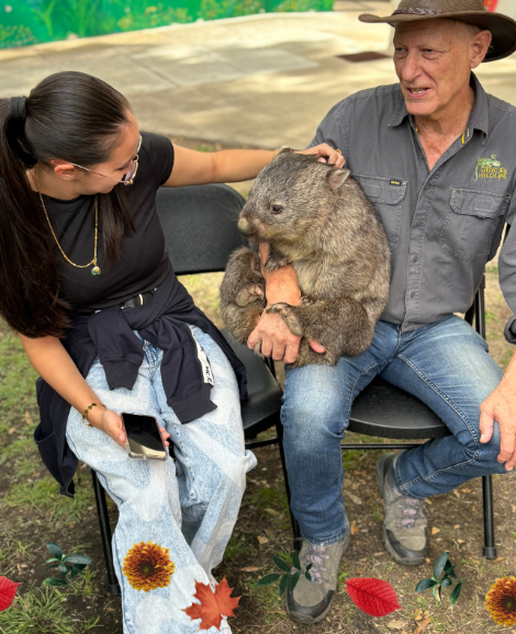 student patting a wombat