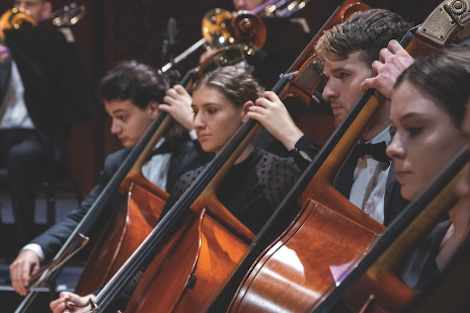 Row of musicians in string section