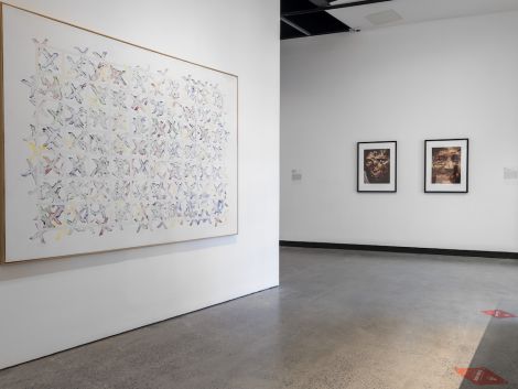 Jeff Gibson, Countertypes