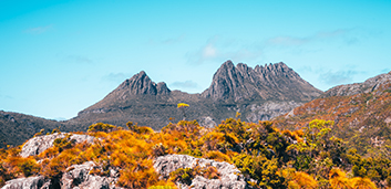 Trees help Tasmania go 'carbon negative' - 3 May 2022