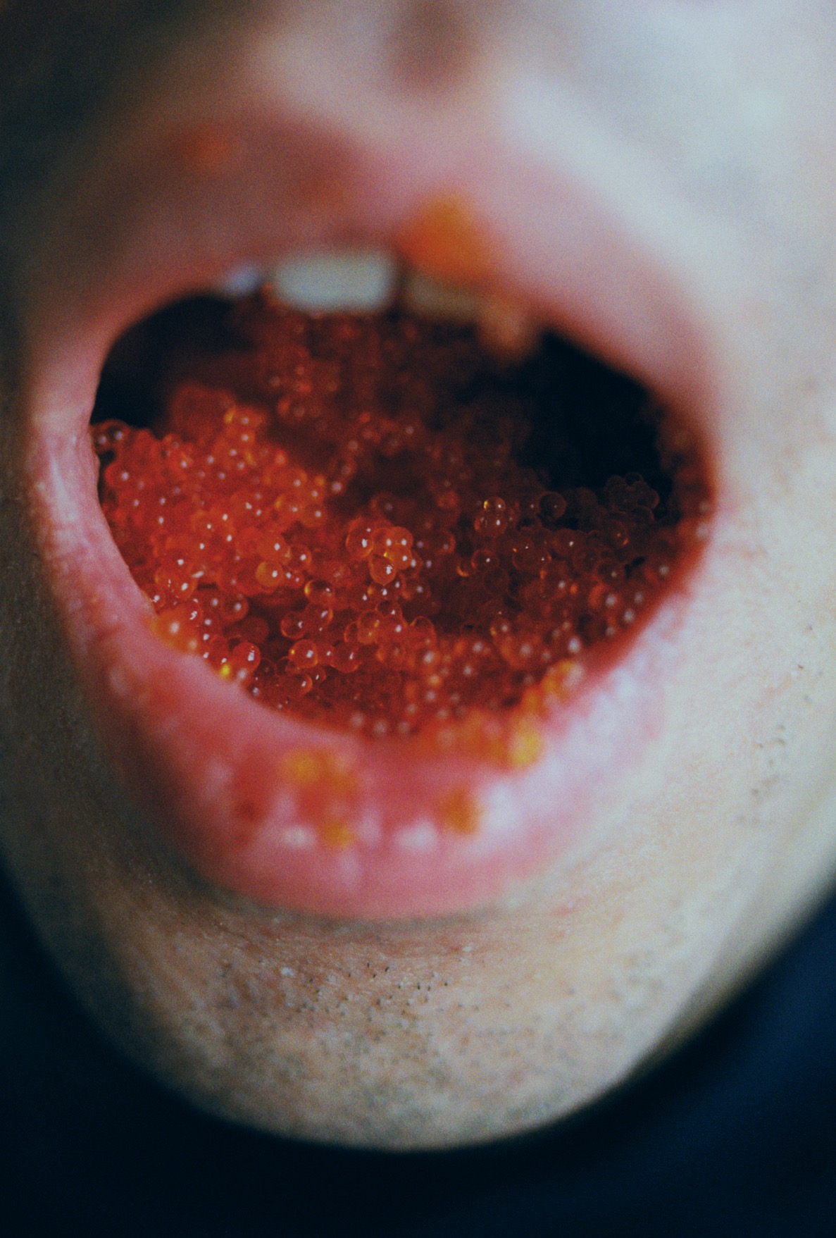 Lin Zhipeng (aka No. 223) 'Roe Container