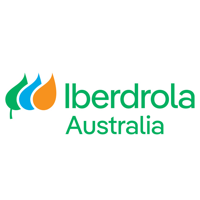 Iberdrola Logo