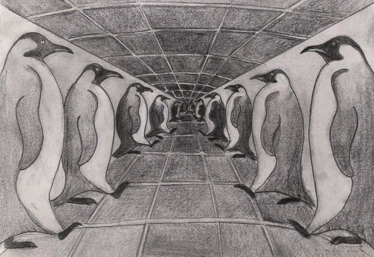 Drawing Observation and Speculation