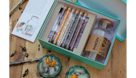 Ashleigh Gibbon, <em>Imagin Gin Kit</em>, 2020