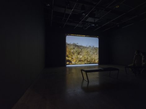 ‘Alana Hunt: Surveilling a Crime Scene (and other examinations) installation view, Griffith University Art Museum, Brisbane. May 2025. Photo: Carl Warner