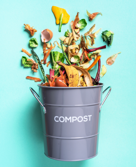 compost bin with scraps