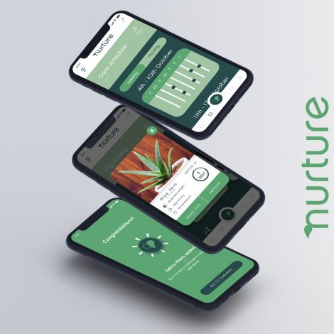 Jake Jenkings, Nurture, 2020