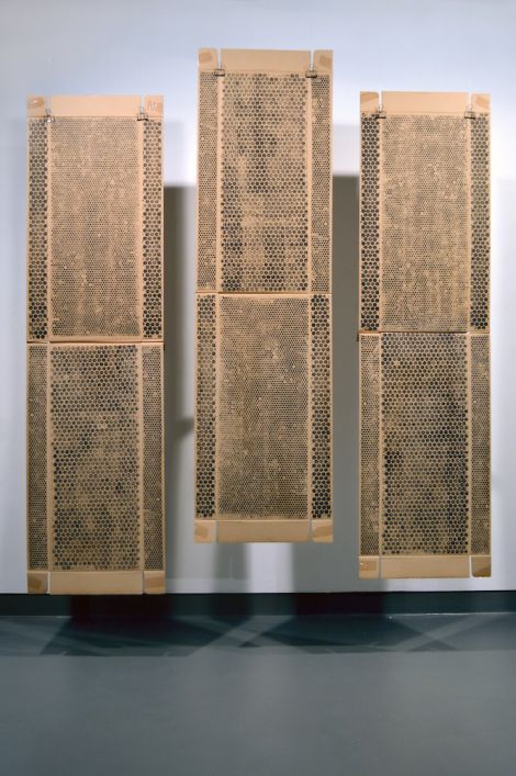 Emily Parker, Bubblewrap Triptych, 2020