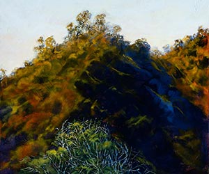 Afternoon Transition