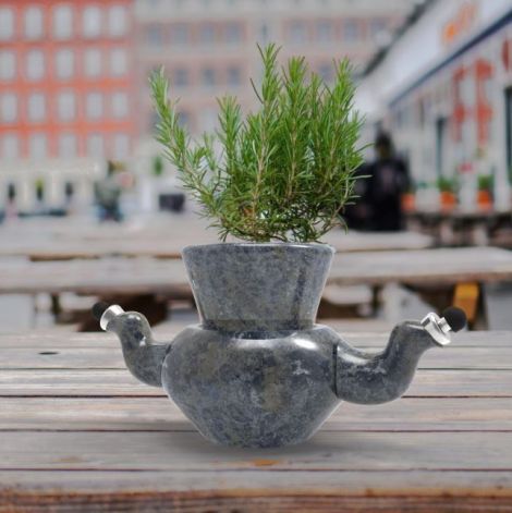 Tendai Shambira, Oslo Eco-planter, 2019