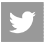 Twitter Icon