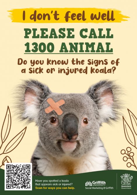 Koala awareness resources