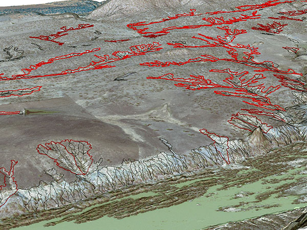 Diving looking at coral