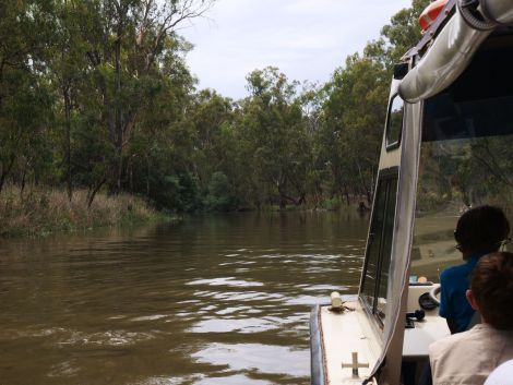 Tourist boat at Barmah