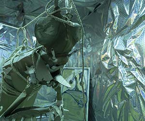 I Honestly Just Need Space to Exist