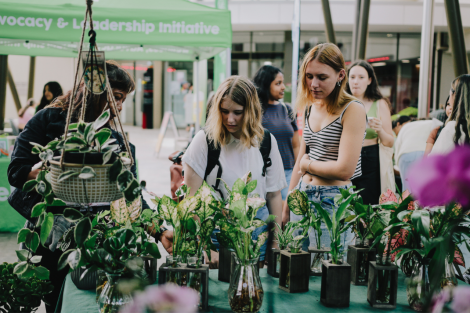 students looking at plant stall