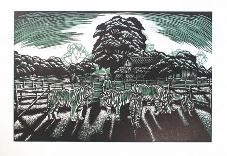 Ruth Cho, Tiger King, 2020, 30cm x 44cm, Multi-coloured linocut