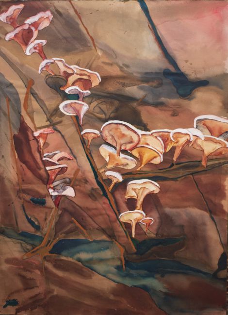 Marie Adams, Mushrooms, 2020, collage, watercolour, ink and gouache on watercolour paper, 77 x 56cm