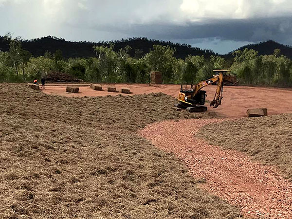 Diving looking at coral