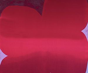 Red and Purple Clover