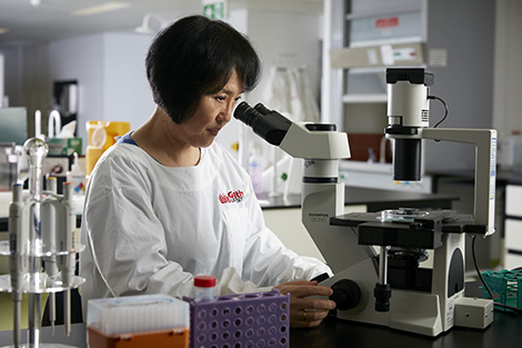 Researcher looking through a microscope