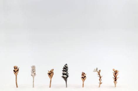 Renee Kire, Weed Series, 2019