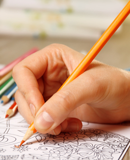 Show Week - Colouring in Downloadable