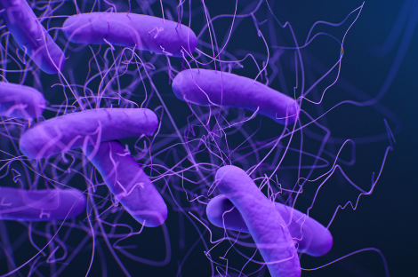 Antibacterial resistance blog