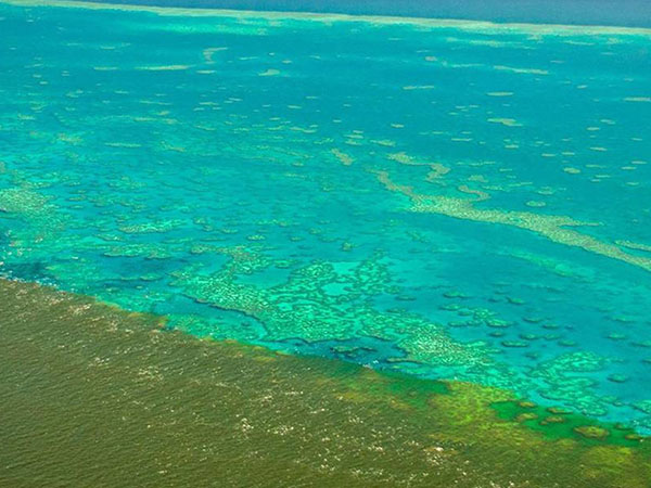 Diving looking at coral