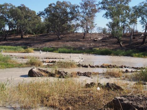 Aboriginal fish traps at Brewarrina