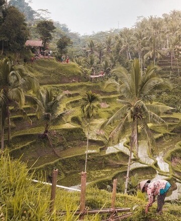 Rural South East Asia