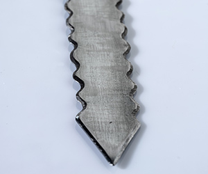 Flammard Sword: Master of the Hunt