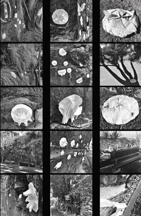 Dearne Dettrick, “Non-urban Organisms (detail)”, 2020, Inkjet print on film, lightbox, MDF, paint, 80 x 190 x 60 cm