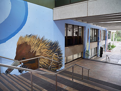 a mural of an echidna on a light blue background on the east side of library wall and next to a staircase