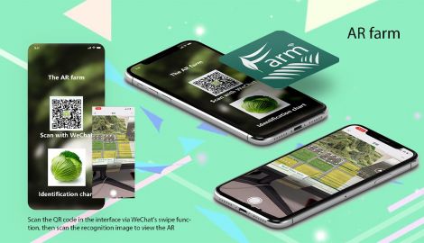 Royce Liu, <em>5G Cloud Farm</em>, 2021