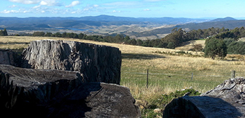 Tasmania goes net carbon negative by reducing logging