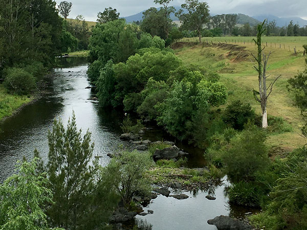 Diving looking at coral