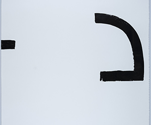 early bird gets the worm