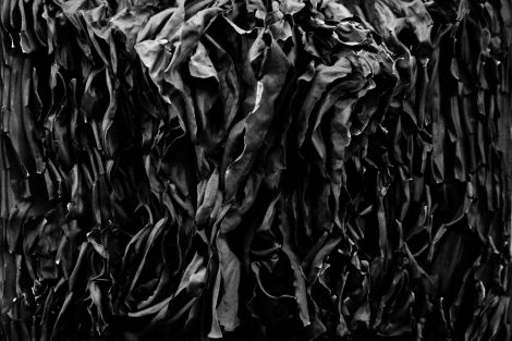 Cathy Ross, “Lost Potential”, 2020, Inkjet pigment print, 59 x 42 cm